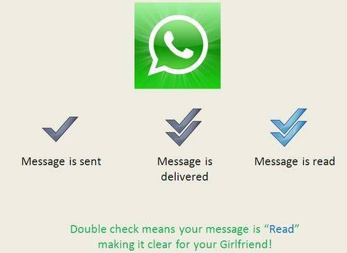 WhatsApp文件发送大小限制放宽，新机遇与挑战的来临